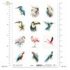 zimorodek, kakadu, tukan, koliber, akwarela, flaming, papuga, turako*kingfisher, cockatoo, toucan, hummingbird, watercolor, flamingo, parrot, turaco